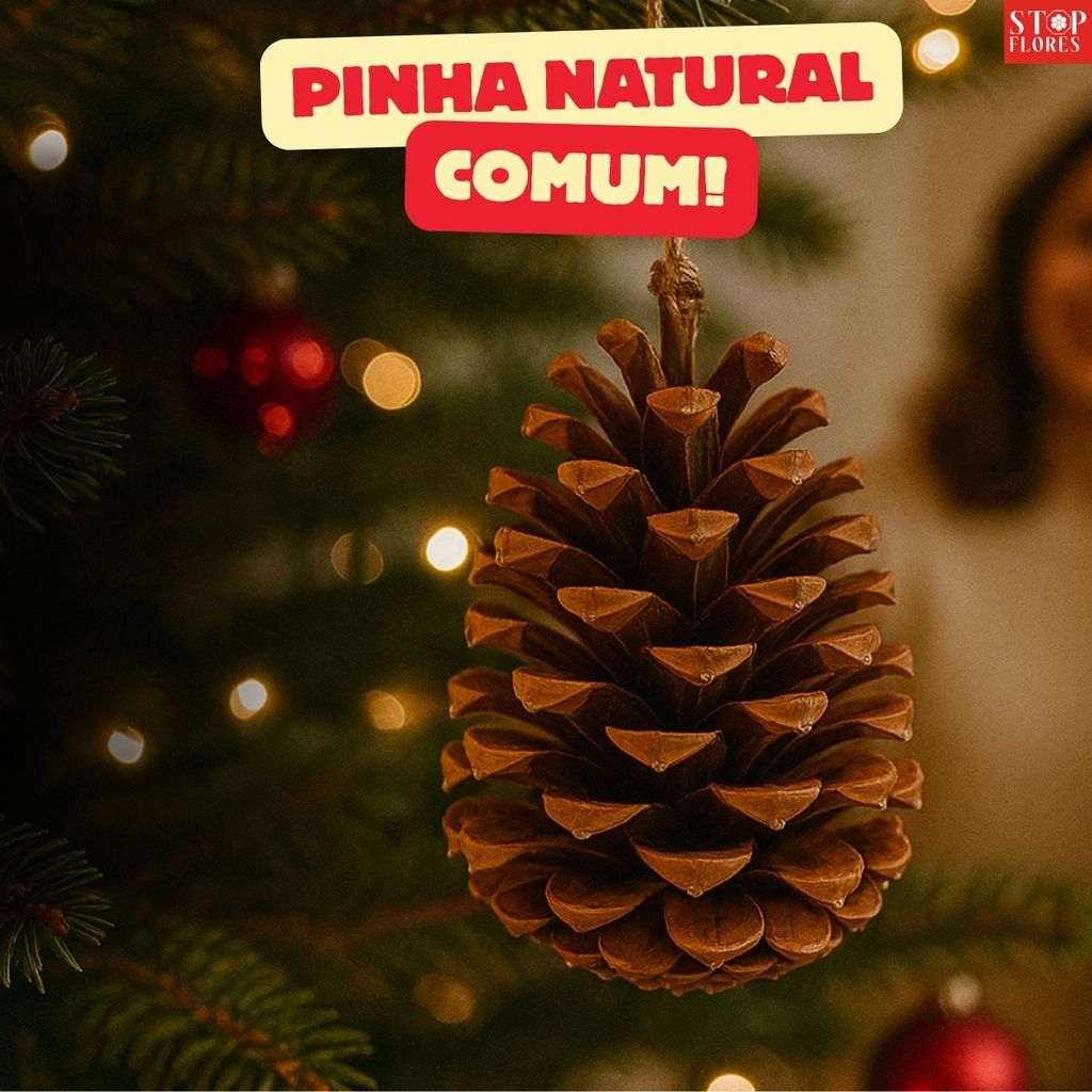 Guirlanda de Pinha: Onde Comprar | BuscaProdutos