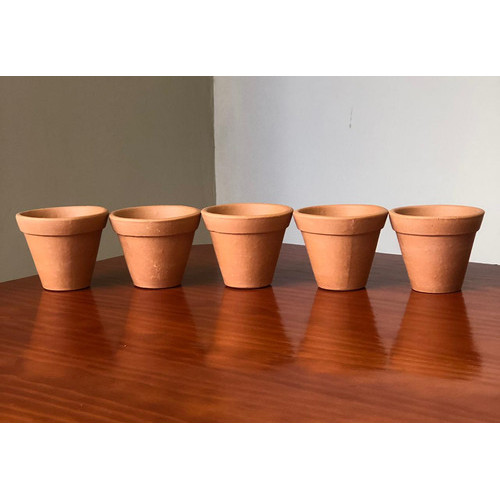 5 Vaso Cerâmica Barro Pequeno P/ Cactos Suculentas 8,5x10cm Cerâmico Marrom-claro