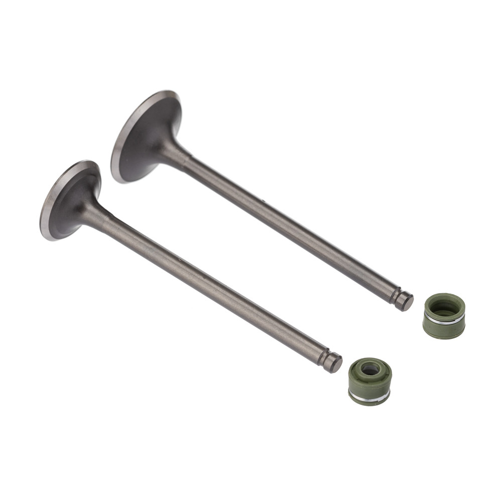 Par Válvula e Retentor Cg Today Titan 125 1992 até 2001, Xlr 125, Admissão e Escape - WW3 em Oferta na Shopee