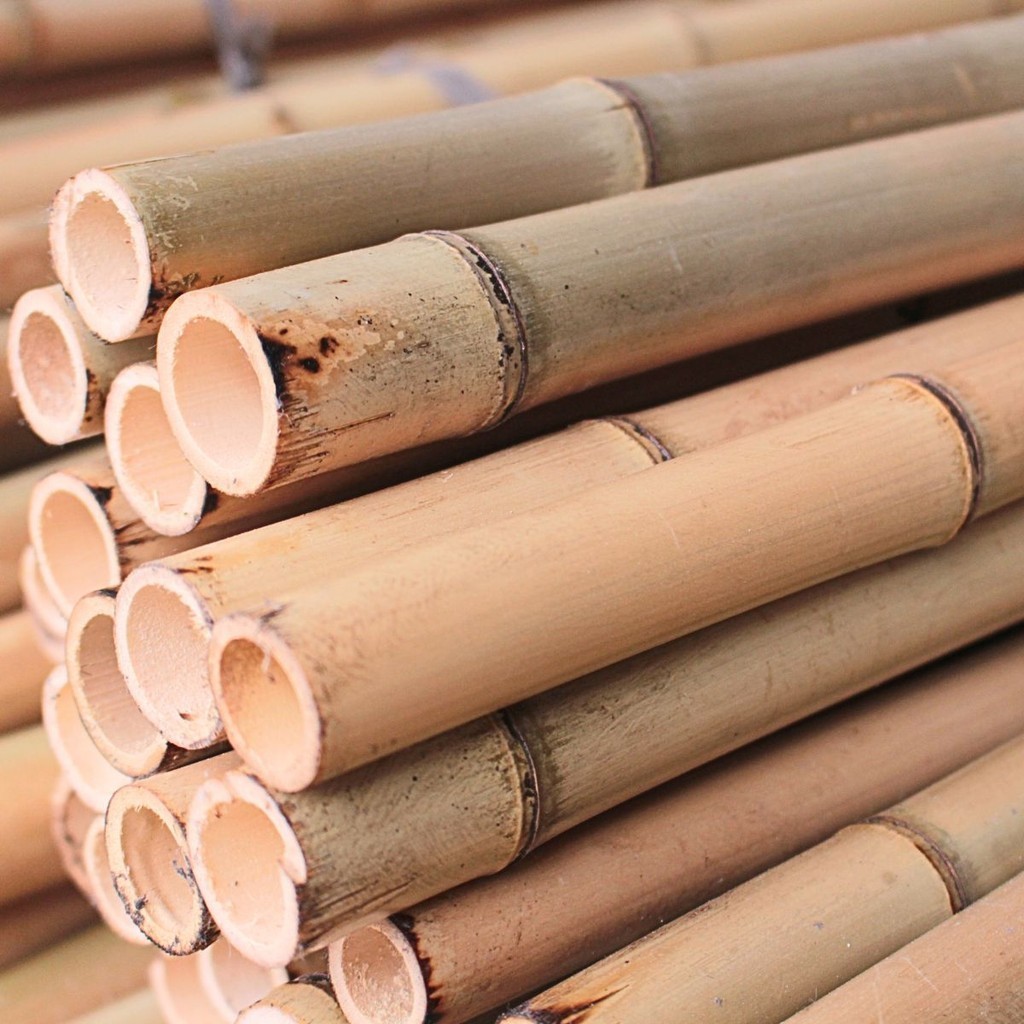 Bambu Sapecado Para Decorações Moveis Estacas de Sustentação Cercas Jardim Tutor 1 metro 1u