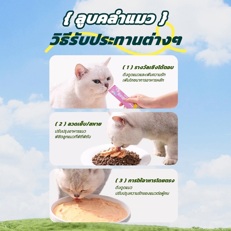 ขนมแมว 50/100ชิ้น 3รส ขนมแมวเลีย แถบแมว cat snacks โซเดียมต่ำ สไก่/รสปลาคอด/รสทูน่า กินได้ทั้งแมวโตและลูกแมว อาหารเป - ภาพที่ 6