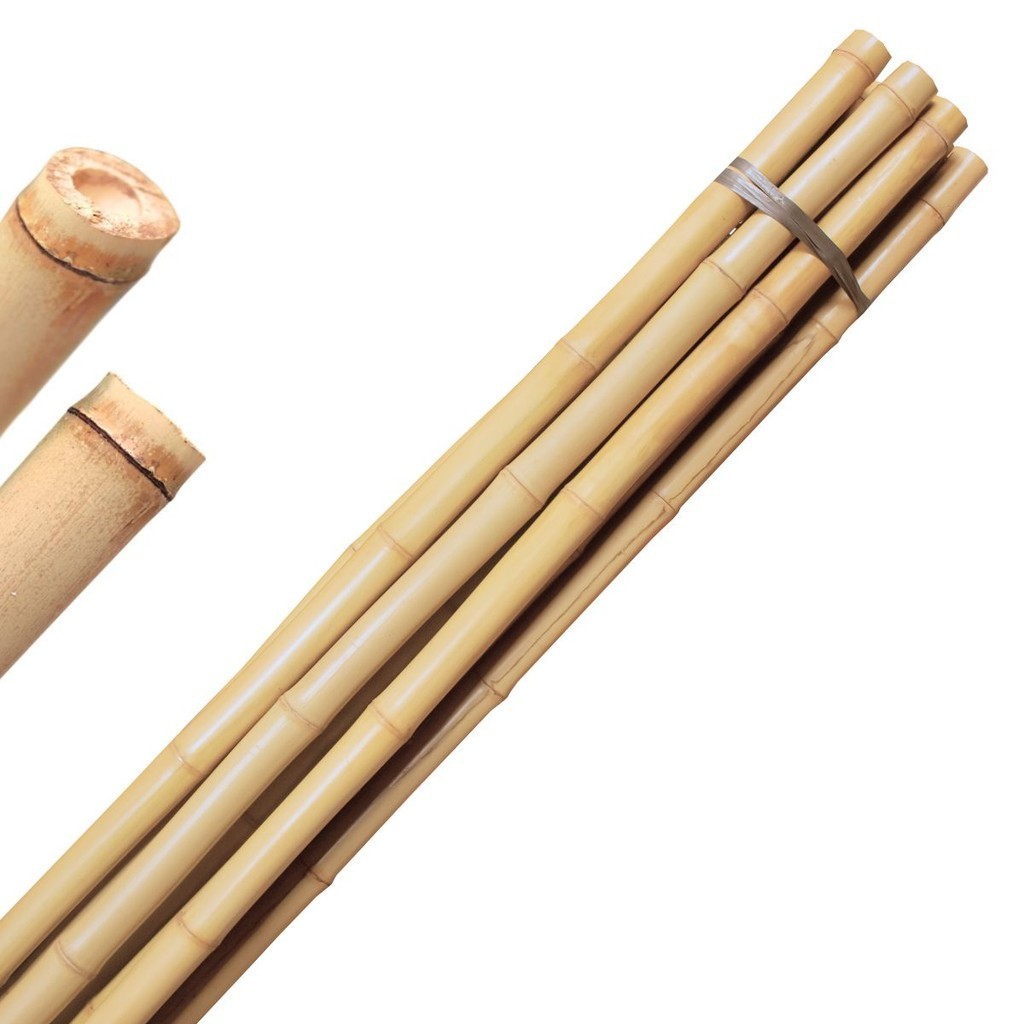 Bambu Natural Sapecado Para Decorações Moveis Estacas de Sustentação Cercas Jardim Tutor 1 metro 12 Unid