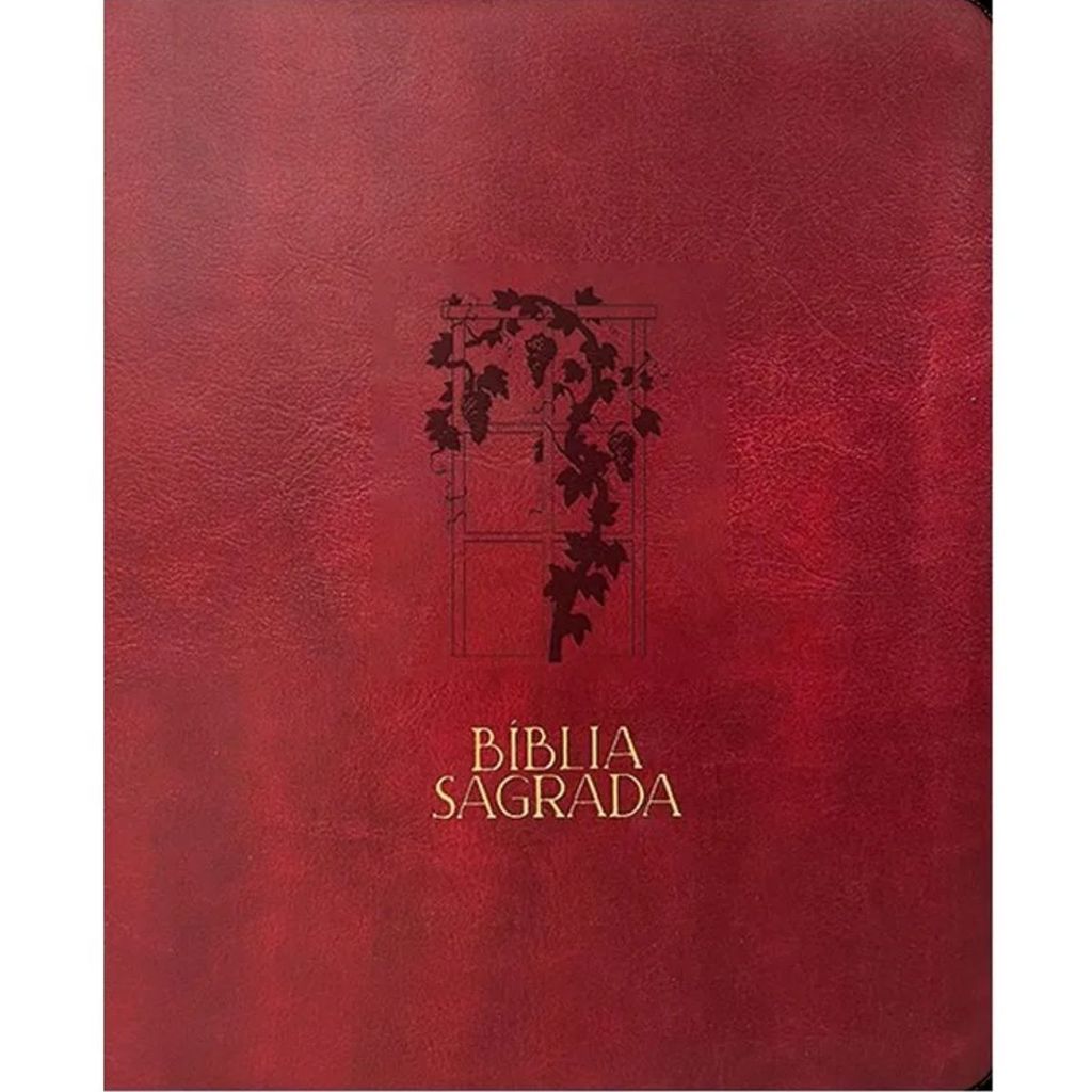 Bíblia Sagrada Mulheres | Viviane Martinello | NVT | Espaço para Anotações | Capa Luxo Videira vinho