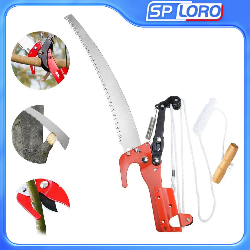 Árvores para Jardim: Onde Comprar | BuscaProdutos