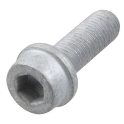 Parafuso Pinça Freio Traseira M10X1,25X30 Bora Golf Jetta