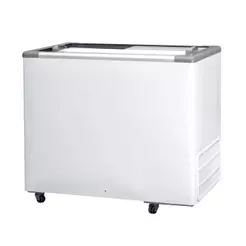 Freezer Conservador Horizontal Fricon 311 Litros Baixa Temperatura Tampa de Vidro Branco HCEB 311 V 127V