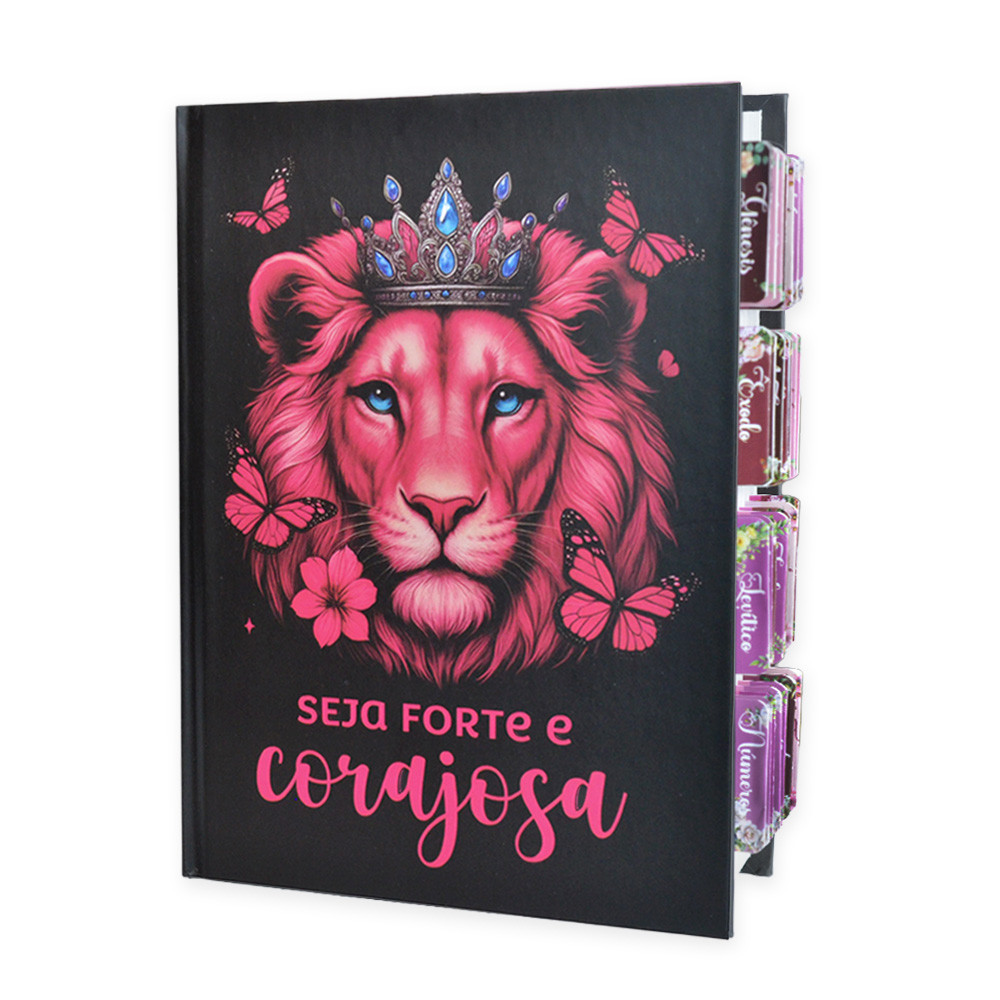 Bíblia Sagrada Evangélica Feminina: Onde Comprar | BuscaProdutos