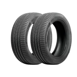 Kit 2 Pneus Delinte Aro 14 185/60 R14 82H DS2