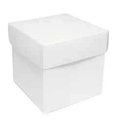 Caixa Cubo Para Panetone e Presente - XG 15x15x15cm - Branco - 10 unidades - Assk - Rizzo