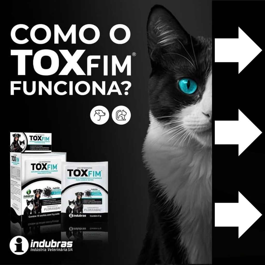 Toxfim Sachês 8g Carvão Ativado para Cães e Gatos - Indubras