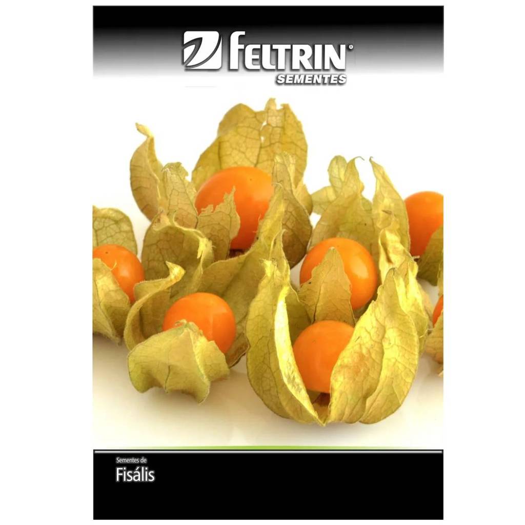 Sementes De Fisális [goldenberry] Feltrin em Oferta na Shopee
