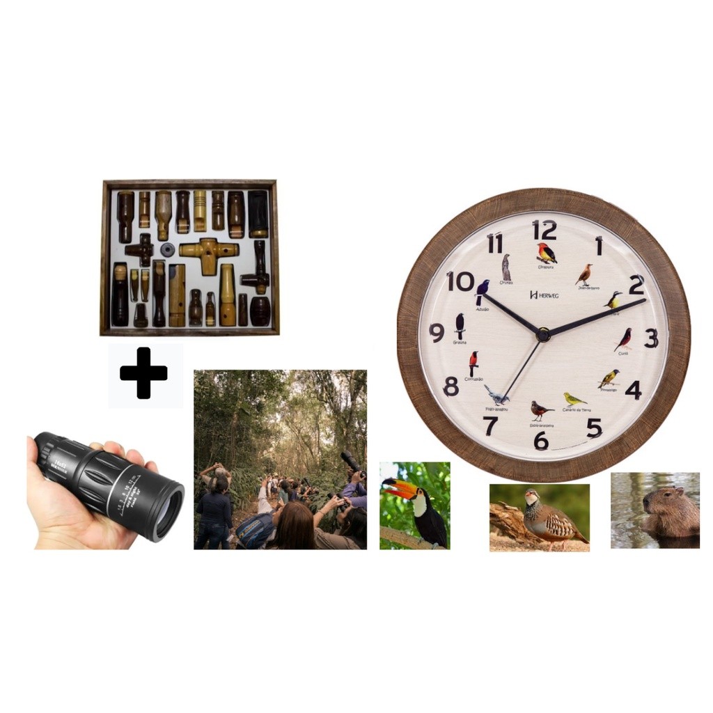 23 Apitos Aves + Luneta + Relógio Pássaros Herweg Kit Aves