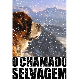 O Chamado Selvagem | Jack London em Oferta na Shopee