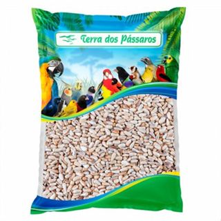 Semente de Cártamo para Pássaros - 500g em Oferta na Shopee