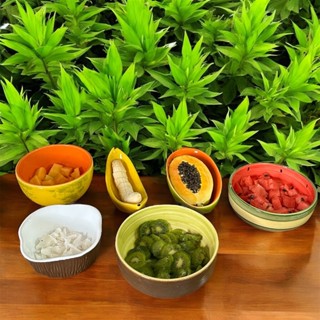 Tigela Decoradas Em Frutas Bowl de Cerâmica Para Cozinha Pintado á Mão em Oferta na Shopee