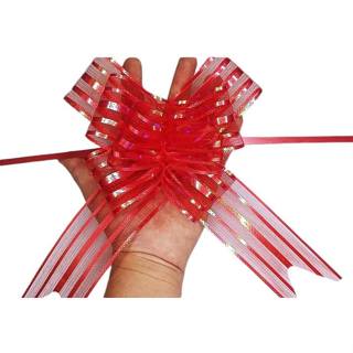 Kit 50 Unidades Laço Fácil de Organza 50mmx74cm Tamanho Grande em Oferta na Shopee