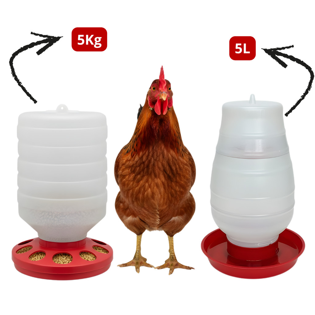Comedouro Automático 5 Kg + Bebedouro Rosca 5 Litros Grande P/ Galinhas Aves