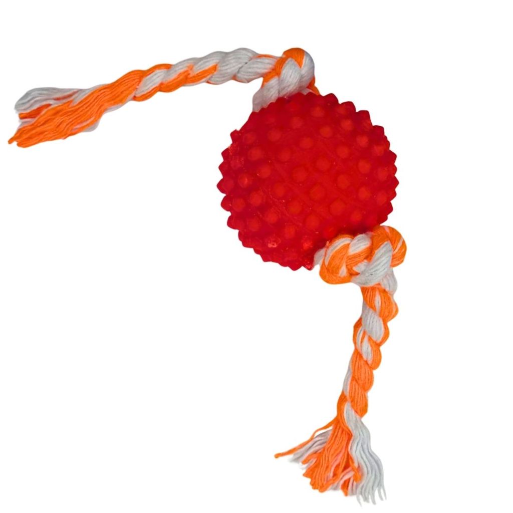 Brinquedo Bola Cravo Mini Corda Pet Cachorro Interativa