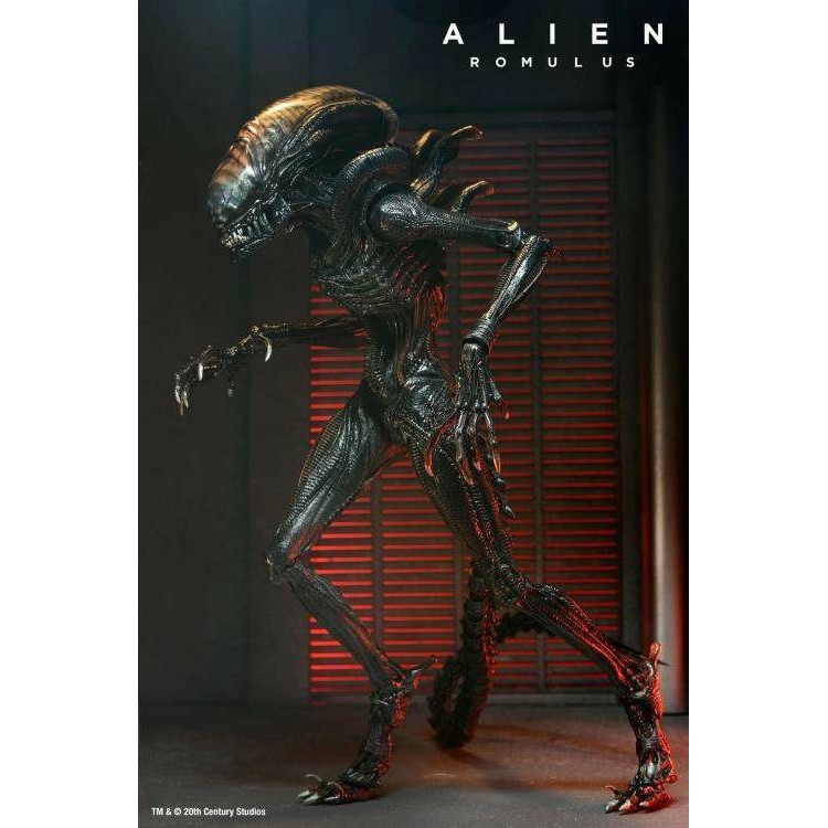 Alien: Figura de Ação Xenomorfo Romulus Queimado [Versão Ultimate]