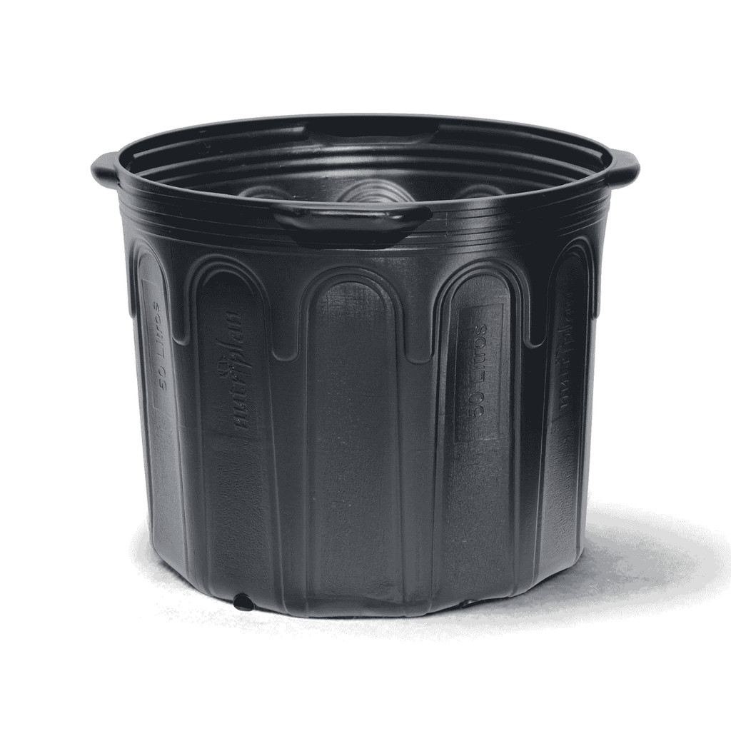 Vaso para Mudas 50 Litros com Alça Plástico Resistente para Cultivos Viveiros e Jardinagem Nutriplan