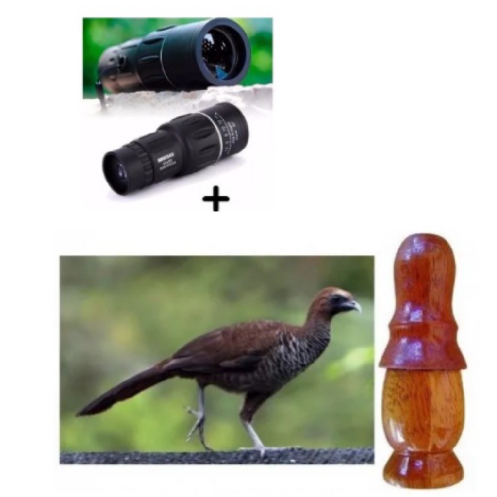 Apito Madeira Aracuã 31 Pio + Luneta Observação De Aves