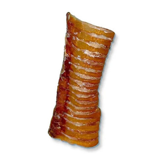 Traquéia Bovina 1un JackePup em Oferta na Shopee