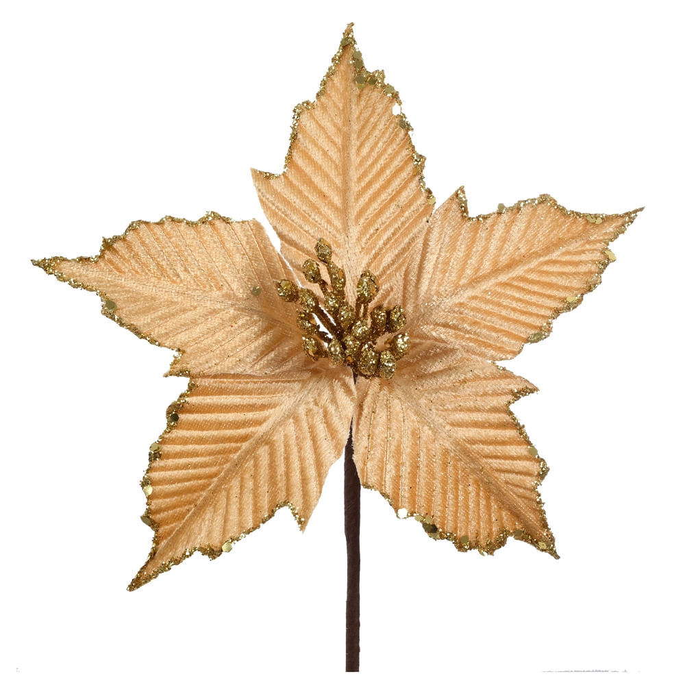 Pick Bico De Papagaio Dourado em Oferta na Shopee