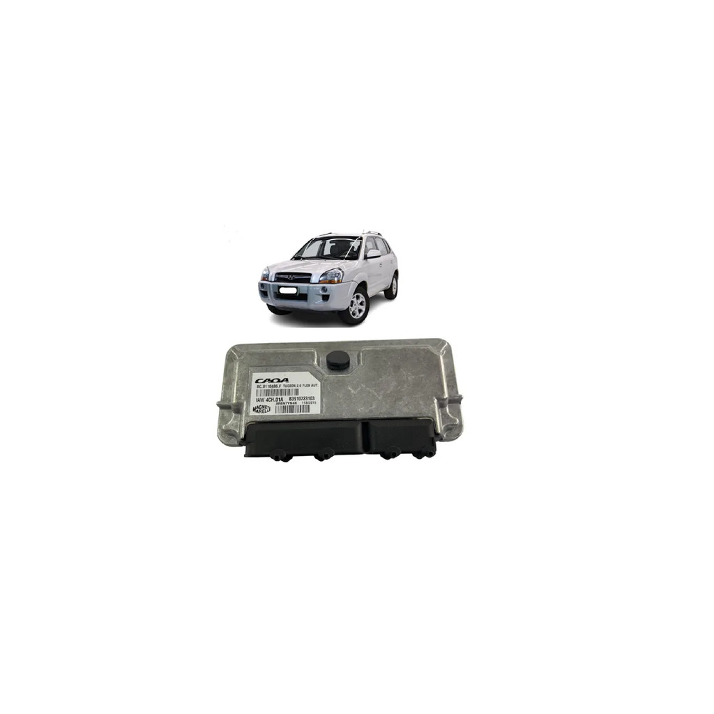 Módulo Injeção Hyunday Tucson 2.0 Flex IAW4CH.01M NOVO
