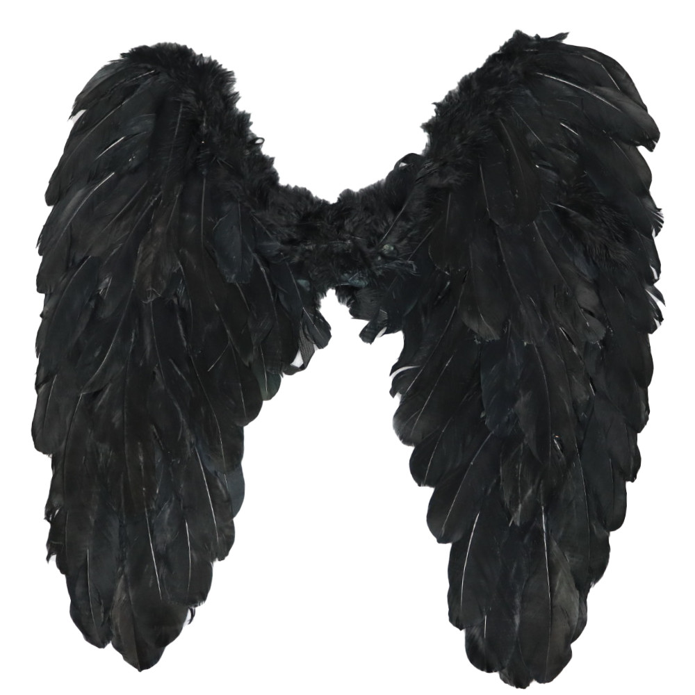 Asa Preta Grande: Onde Comprar | BuscaProdutos