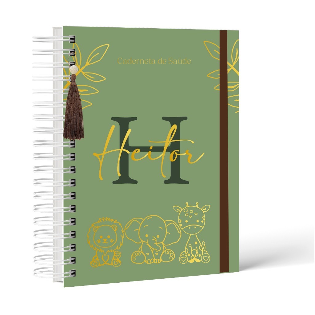 Caderneta de Vacina / Saúde Personalizada - Atualizada com Nome na capa