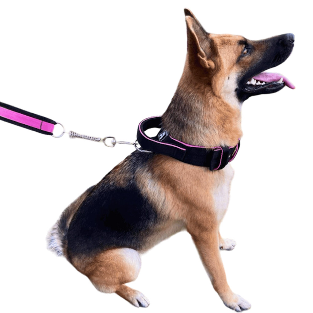 Coleira e Guia Xtreme K9 com Amortecedor de Mola – Para Cães Fortes de Médio e Grande Porte
