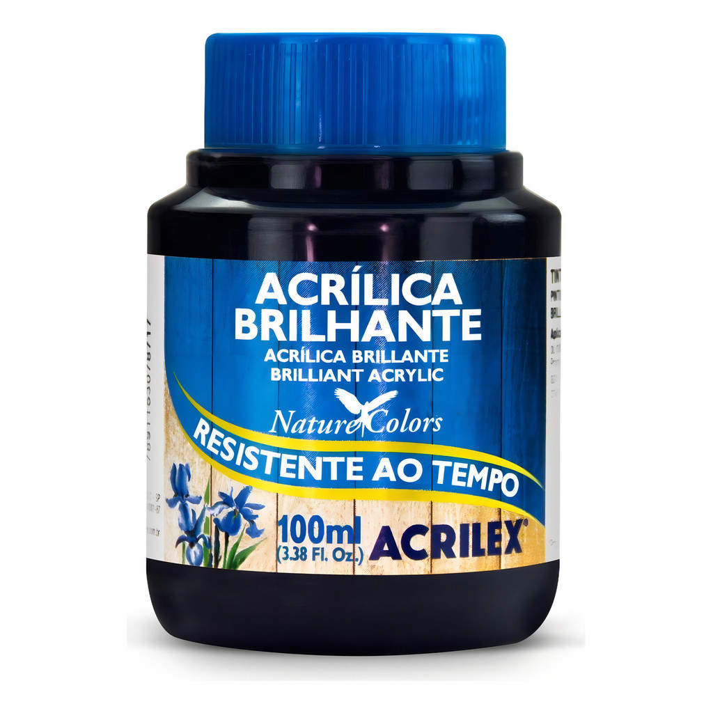 Tinta Acrilica Brilhante 100ml - Cores Cor Preto 520 Tinta Acrilica Pinturas Decorativas