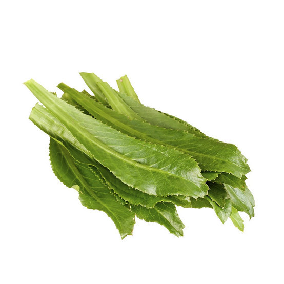 prazer de cultivar 200 Sementes de Coentro da Amazônia Eryngium para Plantio de Mudas da Erva