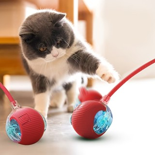 Brinquedos Inteligentes Para Gatos Bola De Rolamento Automática Cauda Falsa Recarregável Elétrico em Oferta na Shopee