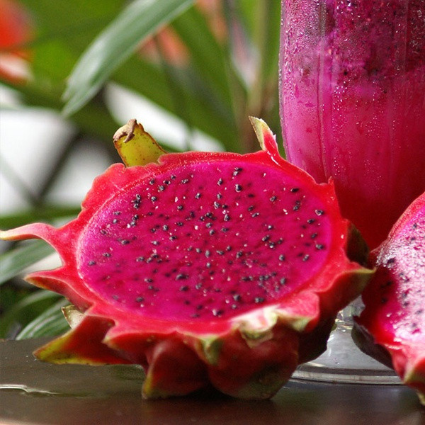 Alta germinação 50 100 Sementes de Pitaya Vermelha Fresca, Suculenta Fruta do Dragão para o Seu Jardim Pitaya Vermelha