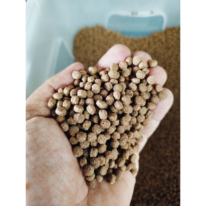 Ração NUTRITIVA 5mm para Tartarugas Répteis e Peixes Filhotes em Oferta na Shopee