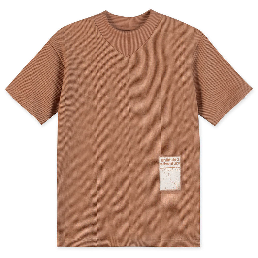 Camiseta Infantil Masculino Tigor T. Tigre em Oferta na Shopee