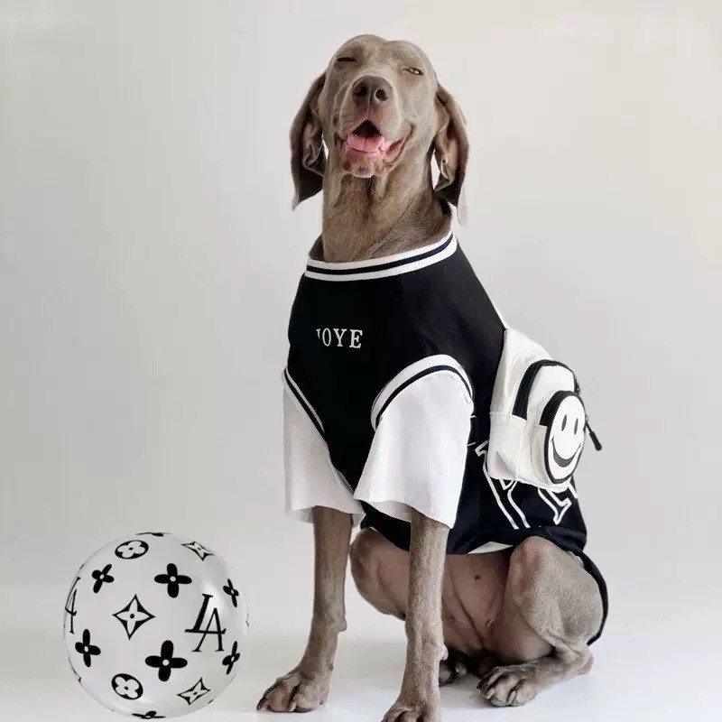 Roupa de cachorro grande camiseta basica de algodao macia para uso diario e passeios