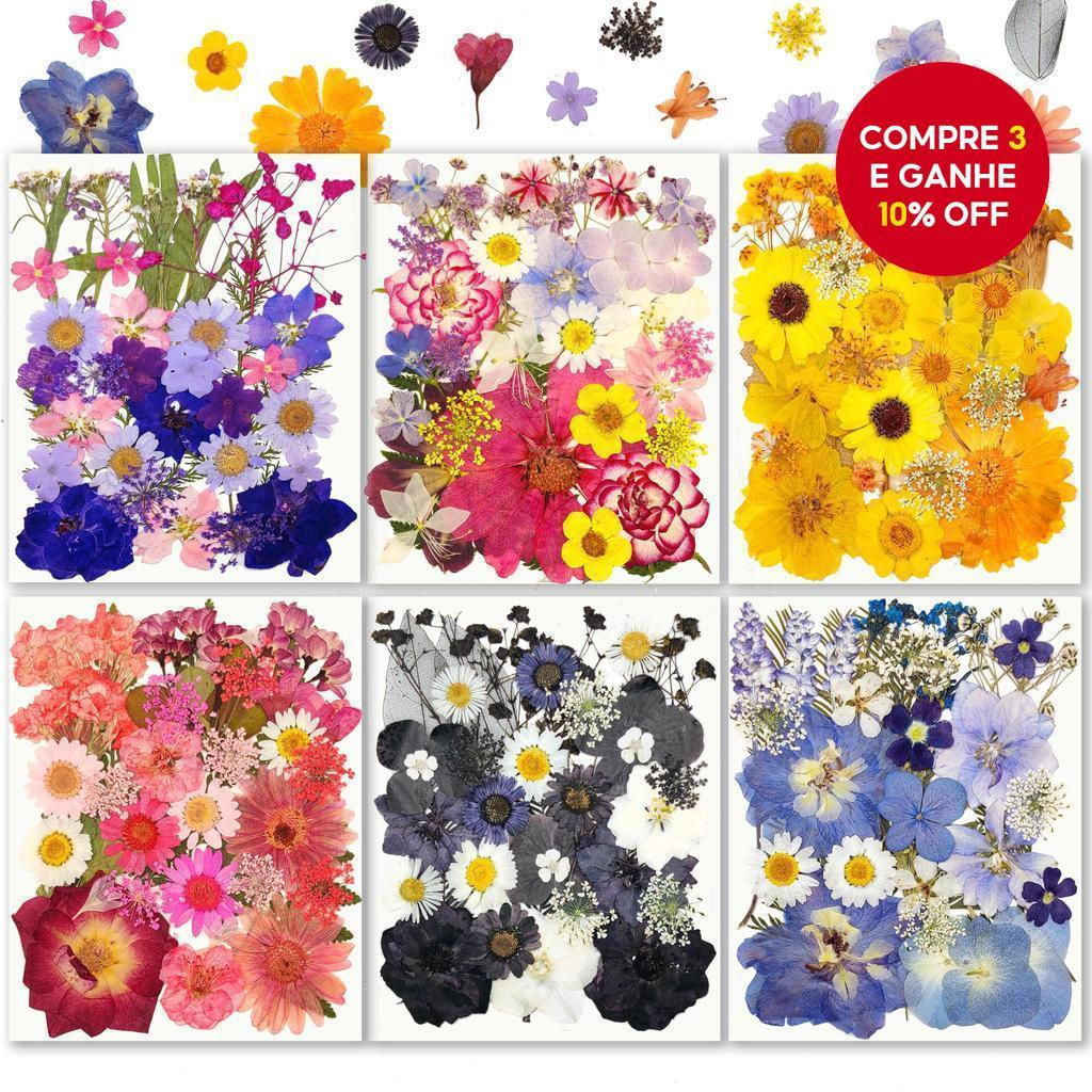 31/34 Unidades Flores Secas Prensadas Resina Natural Joias Scrapbook Gravação Artesanato Faça Você Mesmo
