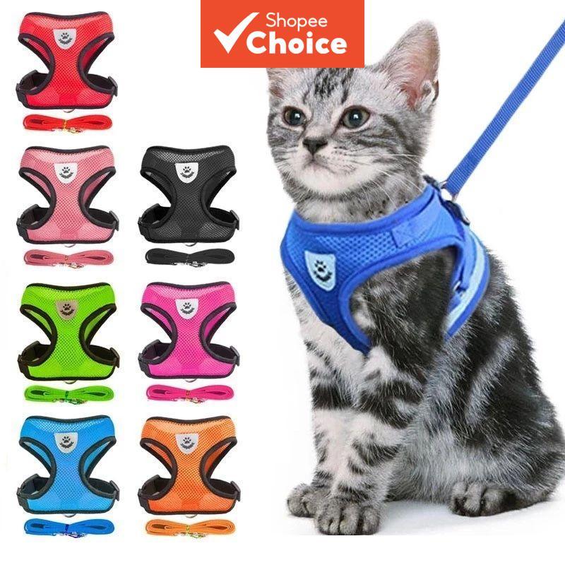 Pro Cão: Guia Completo e Onde Comprar | BuscaProdutos