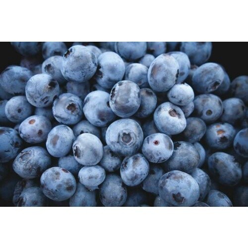 Coleção de Sementes de Frutas 200 500 A Ameixa Pêssego Manga Maracujá Sakya Caqui Sementes de Cereja
