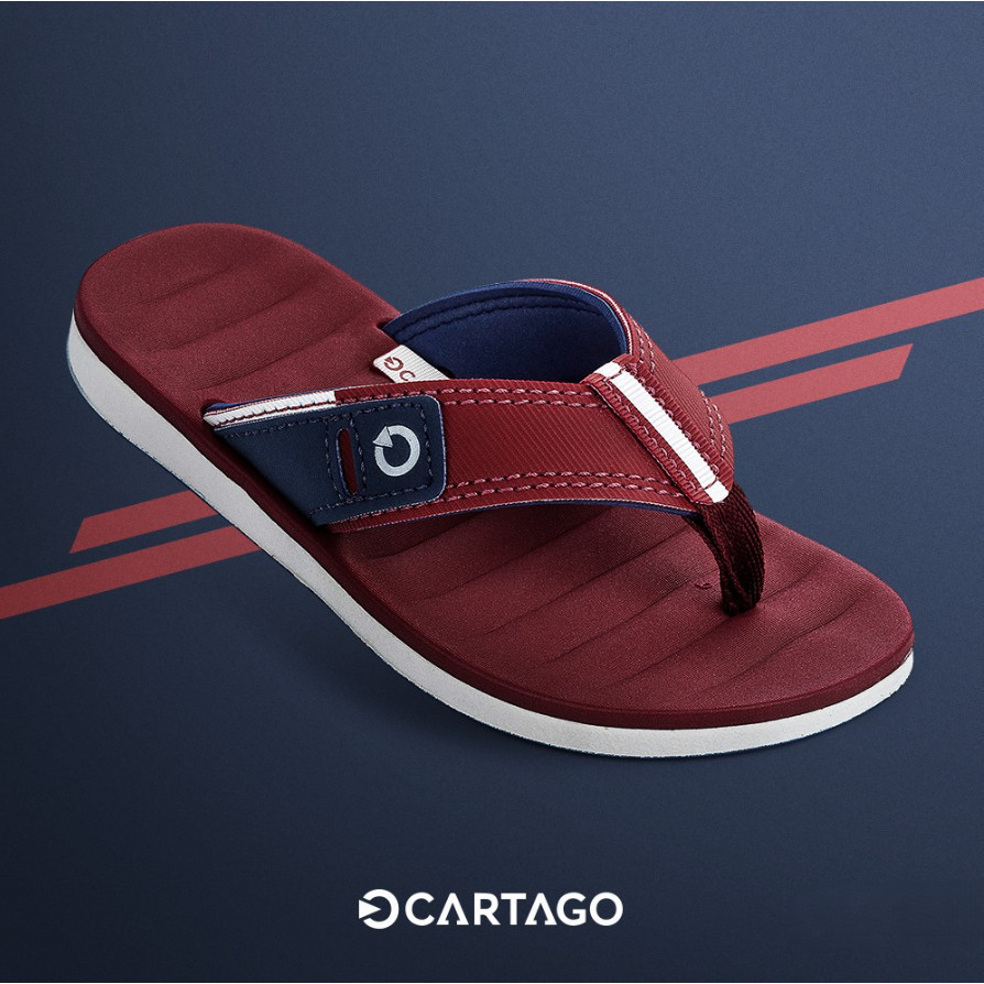 Chinelo Masculino Alabama Cartago Promoção De Fim De Férias com caixa em Oferta na Shopee