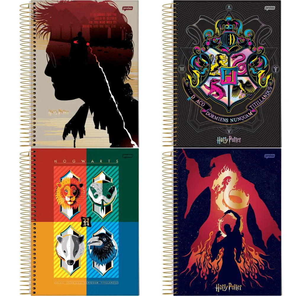 Caderno Harry Potter HP Hogwarts 240 Folhas 12 Matérias em Oferta na Shopee