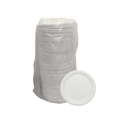 Prato De Isopor Ultratherm 23Cm Raso C/100 Unidades