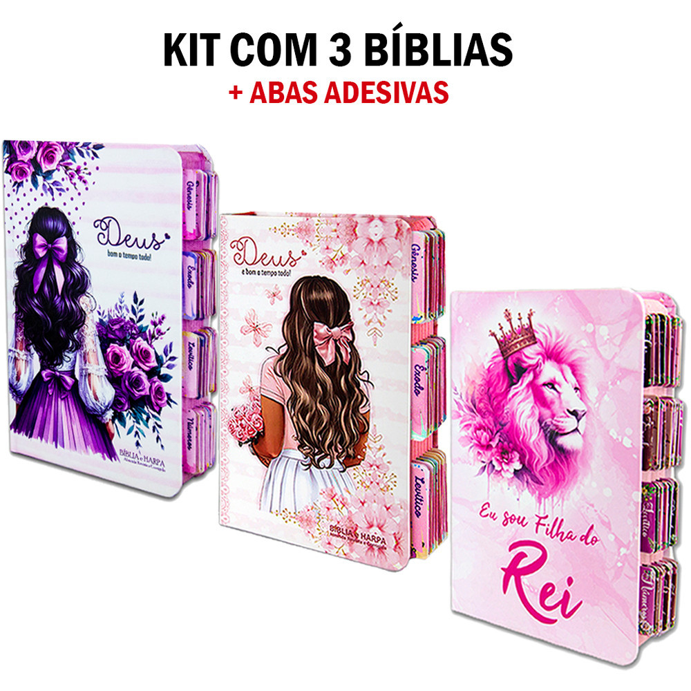 Kit 3 Bíblia Sagrada Evangélica Com Índice Abas Adesivas - C/ Harpa Filha do rei em Oferta na Shopee