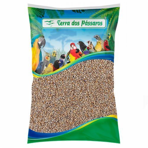 Painço Milheto Nacional - 25 kg