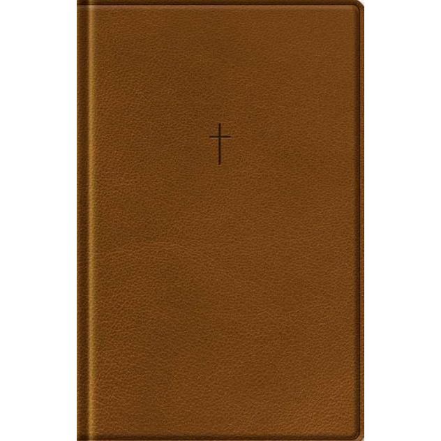 Bíblia Sagrada NAA | Letra Grande | Com Mapas Mentais | Marrom