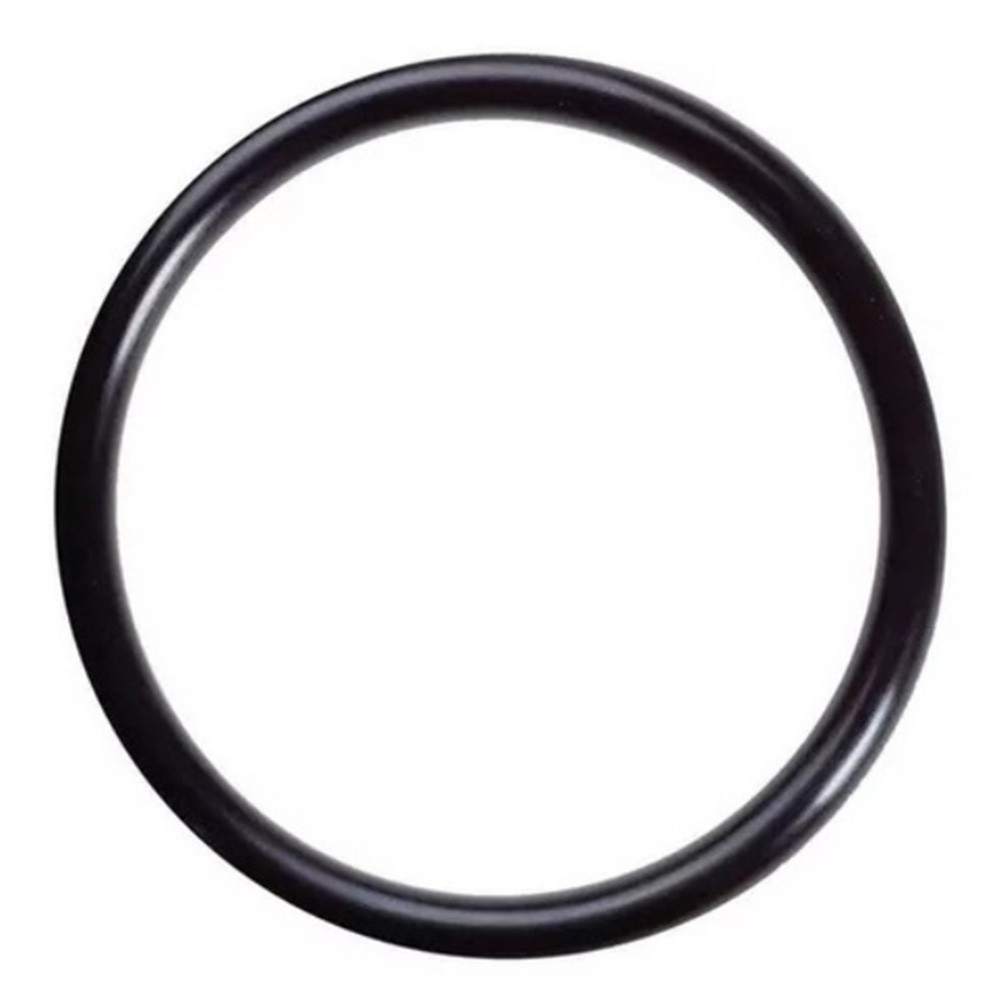 Anel Oring do Visor para Bombas Sodramar 24,0 X 2,50mm