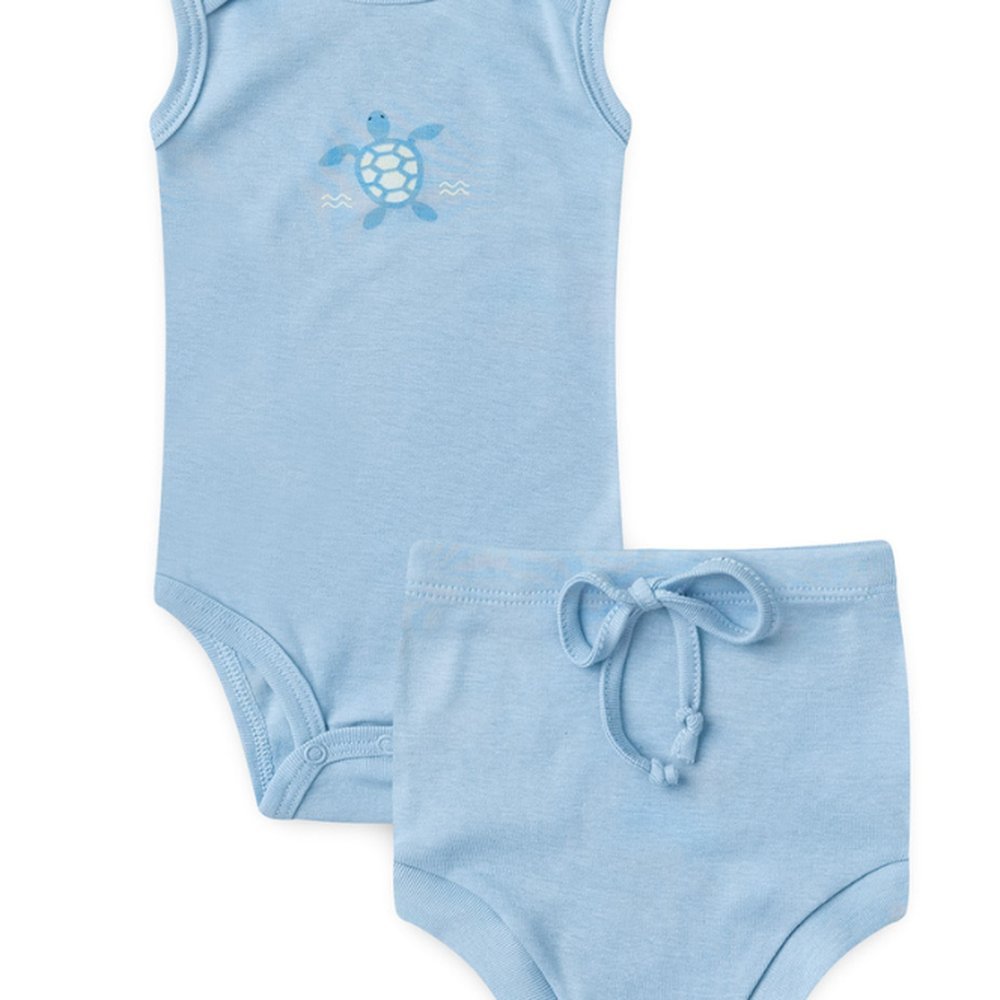 Body Tartaruga - Comprar com Melhor Preço em Acessórios para Animais de Estimação