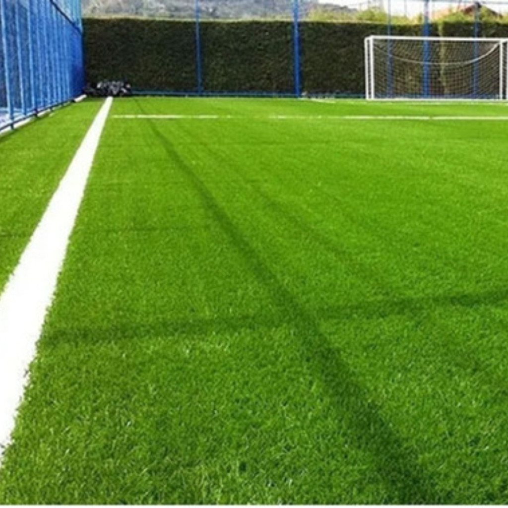 7000 Sementes De Grama Bermuda Campo De Futebol (20m²)